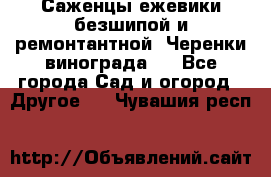 Саженцы ежевики безшипой и ремонтантной. Черенки винограда . - Все города Сад и огород » Другое   . Чувашия респ.